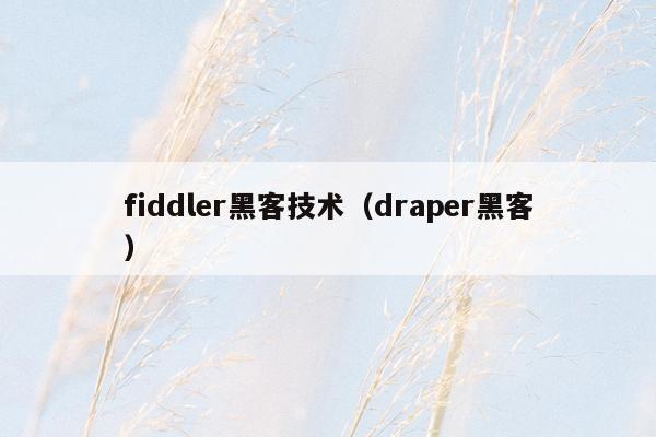 fiddler黑客技术（draper黑客）