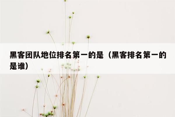 黑客团队地位排名第一的是（黑客排名第一的是谁）