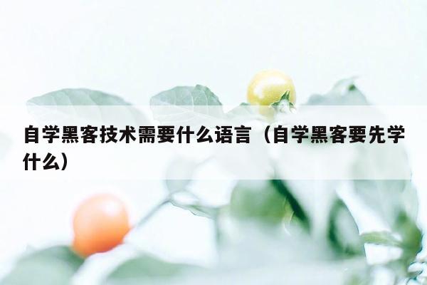 自学黑客技术需要什么语言（自学黑客要先学什么）