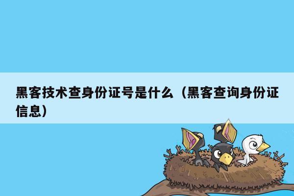 黑客技术查身份证号是什么（黑客查询身份证信息）