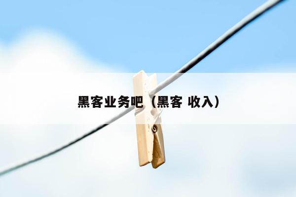 黑客业务吧（黑客 收入）