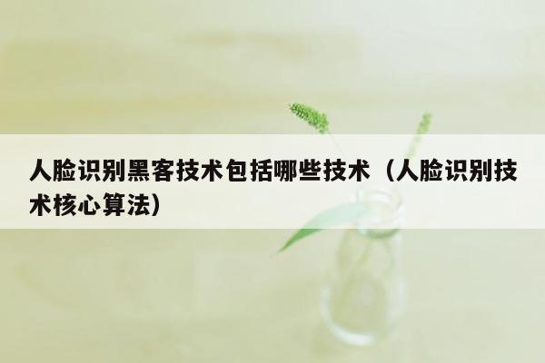 人脸识别黑客技术包括哪些技术（人脸识别技术核心算法）