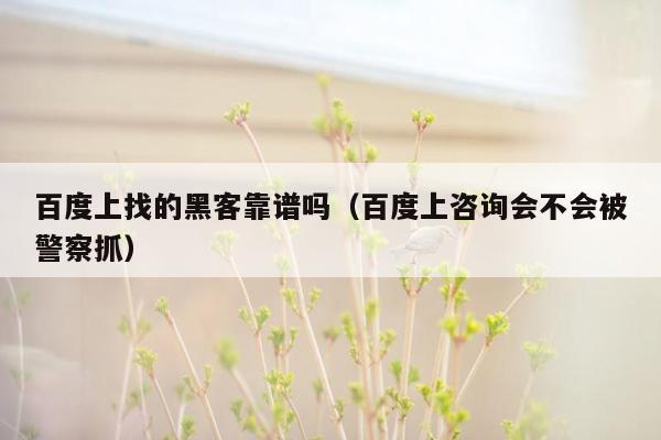 百度上找的黑客靠谱吗（百度上咨询会不会被警察抓）