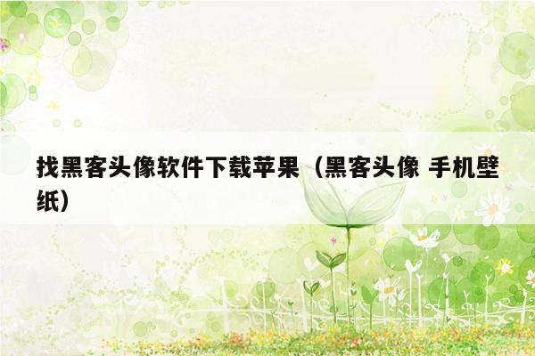 找黑客头像软件下载苹果（黑客头像 手机壁纸）